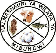 Misungwi District Council